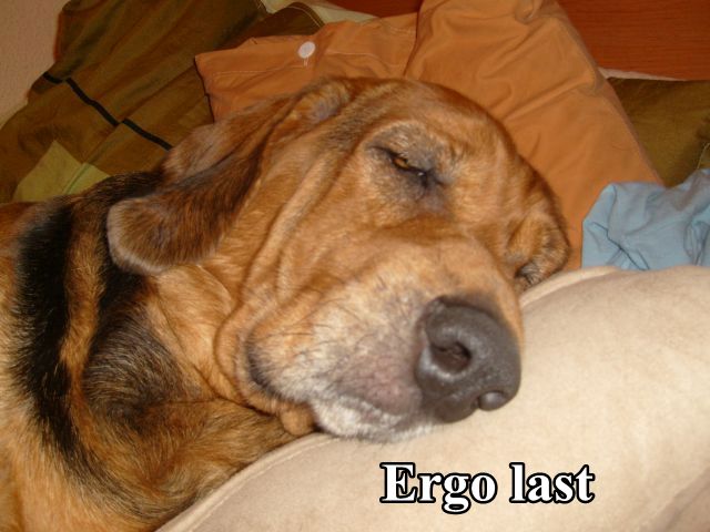 ERGO last